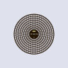 Сменный Диск-контейнер Nano-500